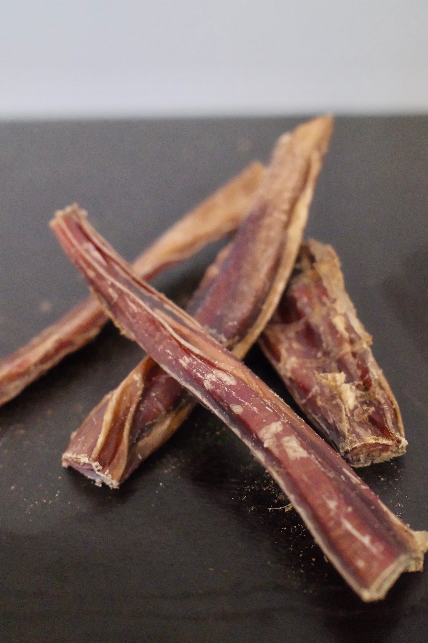 Bully Stick/pizzle 6 inches